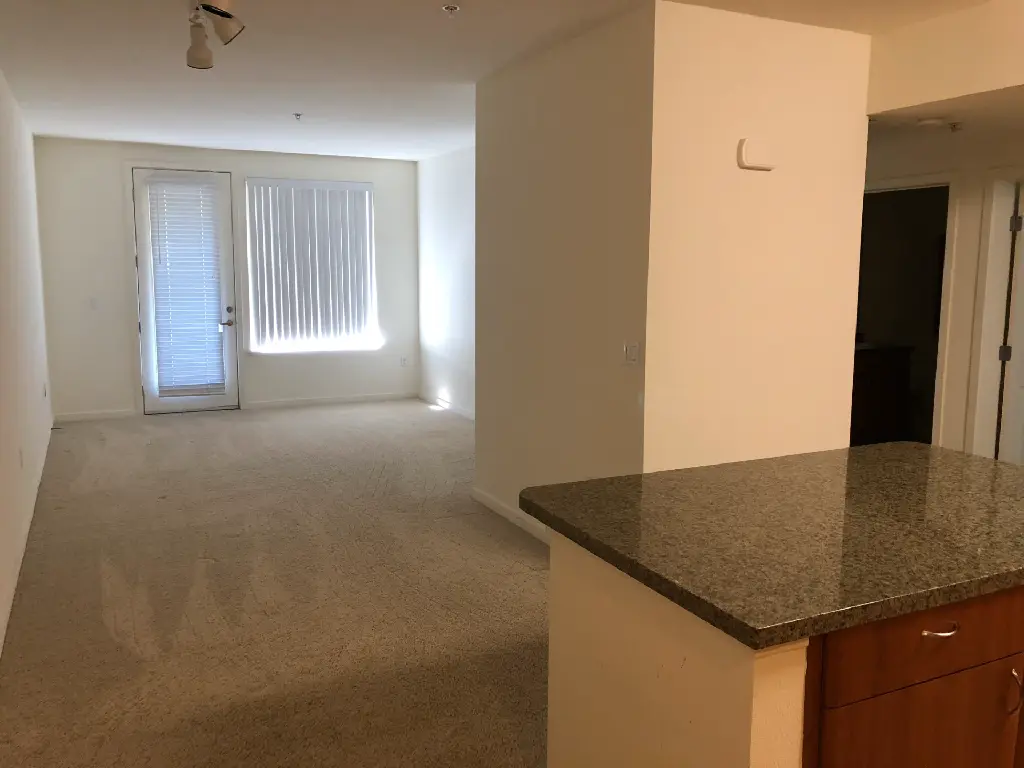 Apartment_Living_Room_1_2018-09-28.webp