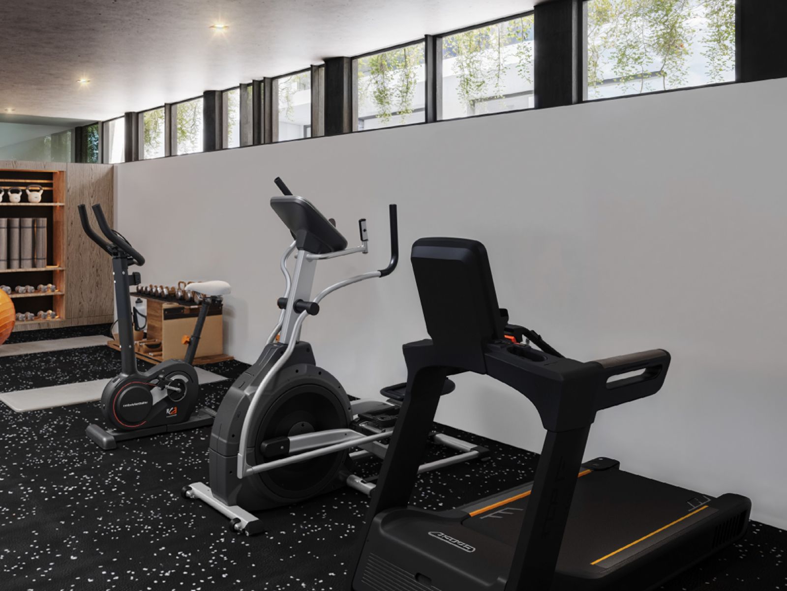BM571 GYM.jpg